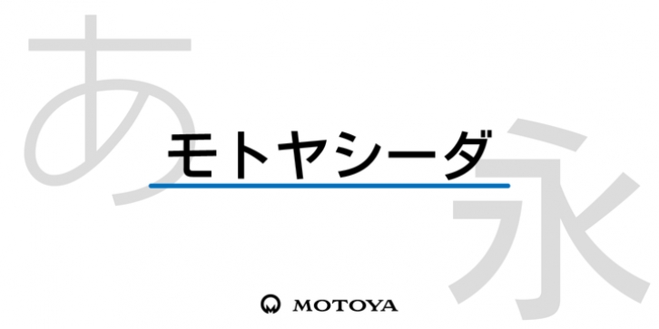 tracking: {
            'Country Code': 'US',
            'Language Code': 'EN-US',
            'Email Hash': 'unknown',
            'Vendor User Id': 'unknown',
            'Vendor Id': 'unknown',
            'Customer Type': '',
            'Offer Code font preview